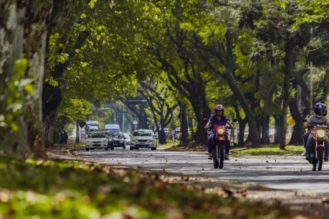 Por motivo de segurança, “Domingo na Rua” é suspenso temporariamente.