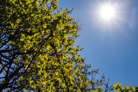 Semana começa com frio e tempo firme em Foz do Iguaçu; veja a previsão dos próximos dias