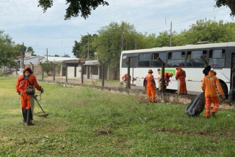 Foz do Iguaçu registra redução de 96% nos casos de dengue no começo de 2025.