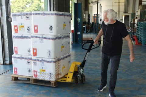 Paraná recebe 332 mil vacinas contra gripe e se prepara para início da campanha.