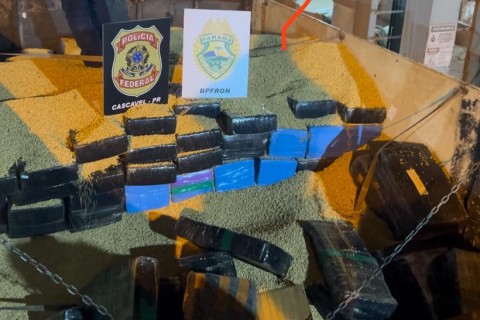 BPFRON e Polícia Federal apreendem 2,3 toneladas de maconha em Cascavel.