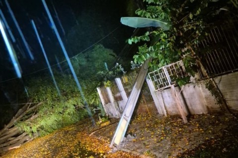 Temporal derruba árvores, quebra postes e deixa família fora de casa em Foz do Iguaçu