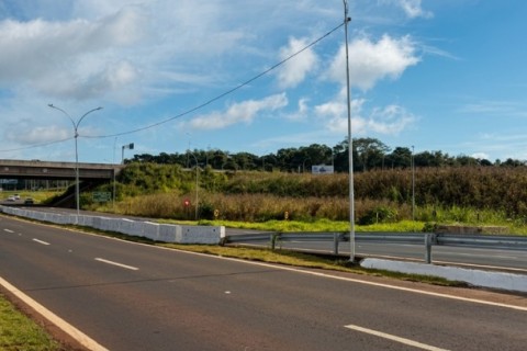 Após reclamações, Prefeitura assume limpeza do matagal na Perimetral Leste