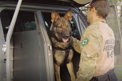 Polícia Federal recebe novas viaturas adaptadas para os cães farejadores.
