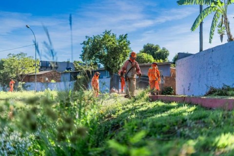 Região Oeste recebe mutirão com limpeza, plantio de árvores e serviços à população