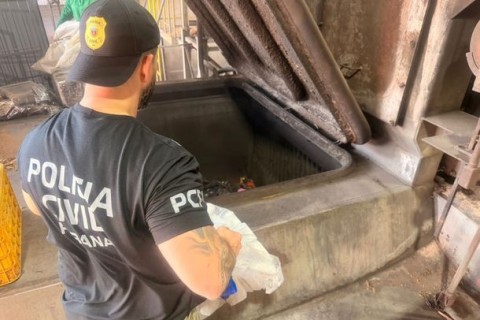 Maconha representa quase 99% das 17,7 toneladas incineradas pela Polícia Civil